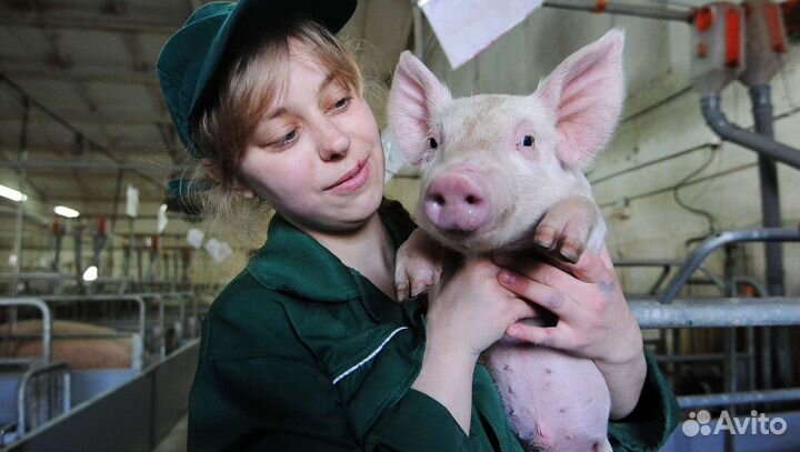 Уход за животными / Вахта М/Ж Г. орёл