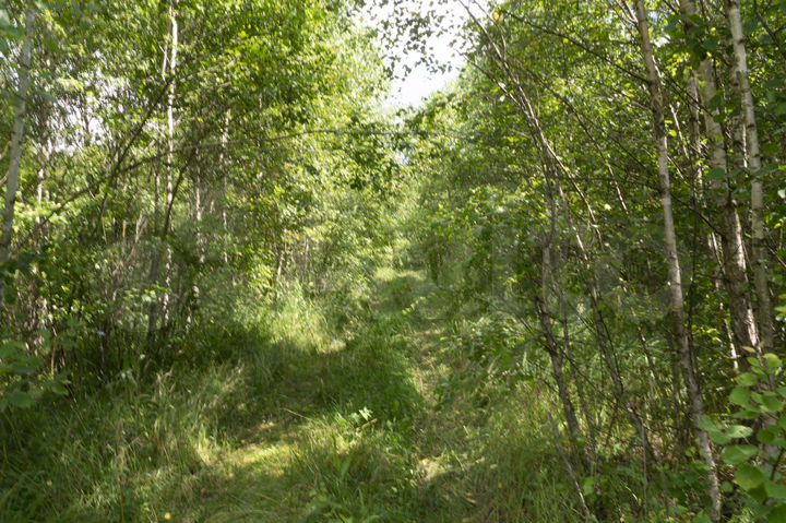 Участок 9 га (СНТ, ДНП)