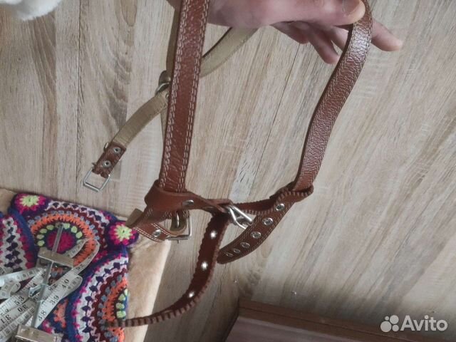 Шлейка для средней собаки