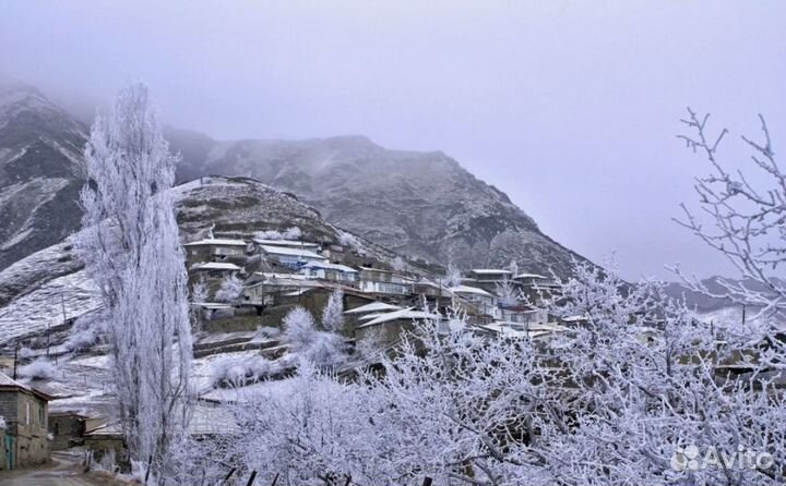 Тур поездка Кавказ Новый год на 4 ночи