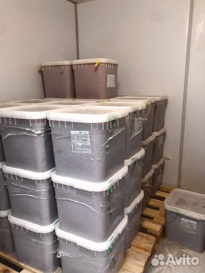 Икра Кеты опт