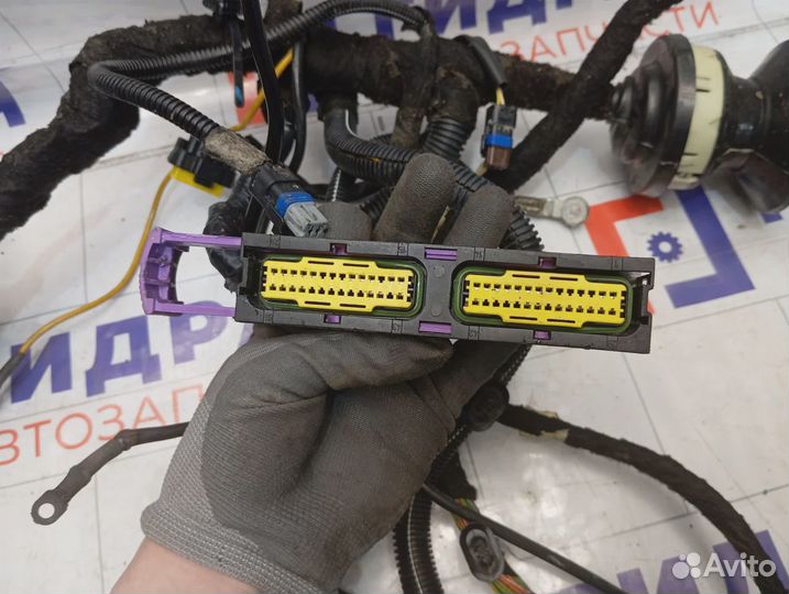 Проводка подкапотная Citroen C4 6584VW