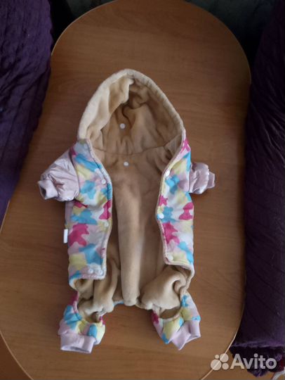 Одежда для собак