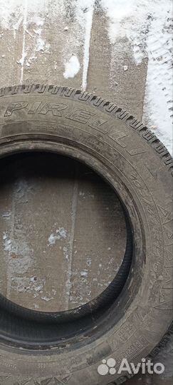 Pirelli Winter Ice Zero 195/65 R15 91T