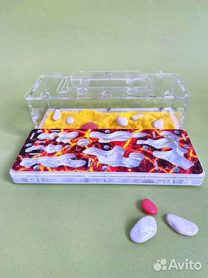 Муравьиная ферма с муравьями