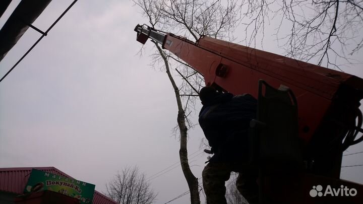 Спил деревьев, расчистка участков