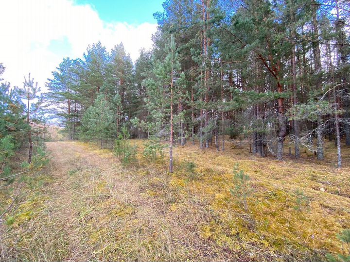 Участок 3,2 га (СНТ, ДНП)