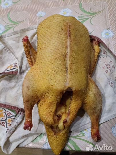 Мясо индоутки