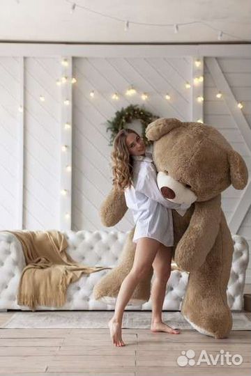 Плюшевый медведь