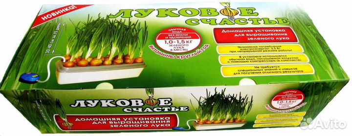 Луковое счастье