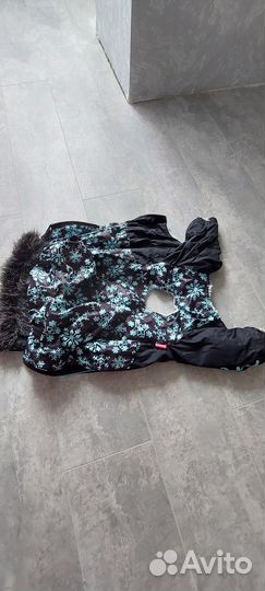 Костюм для маленькой собаки