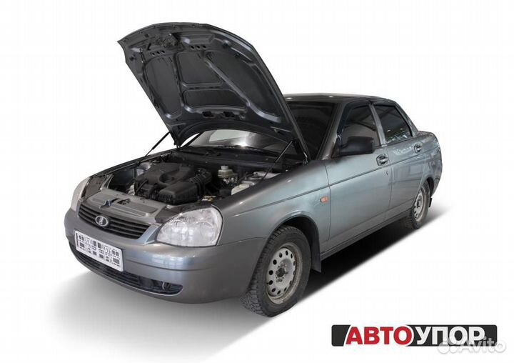 Амортизатор капота для Лада Приора, газовый