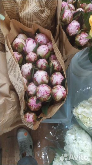 Цветы оптом