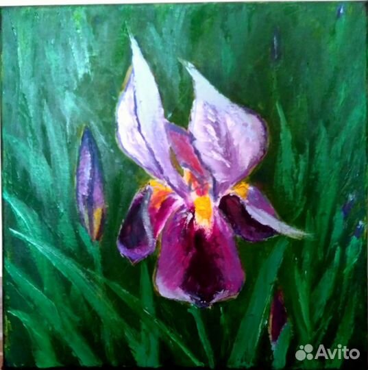 Картина маслом,холст,Ирис