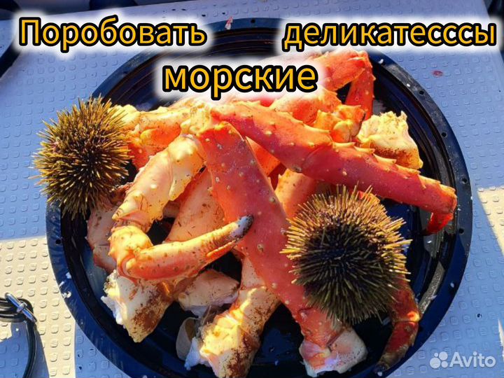Морская рыбалка