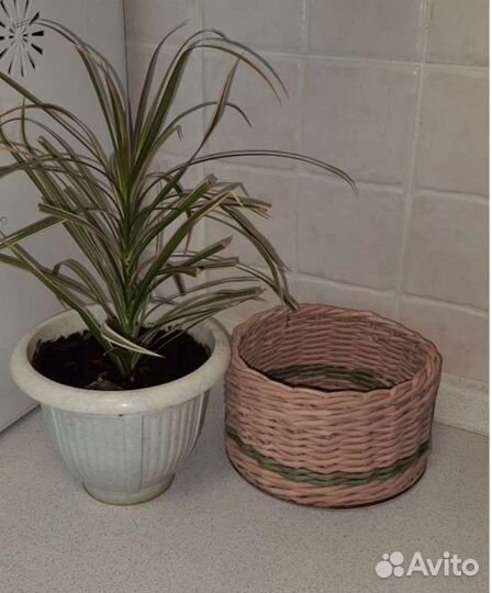 Коробочки из бумажной лозы