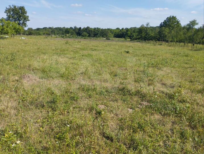 Участок 94 сот. (СНТ, ДНП)