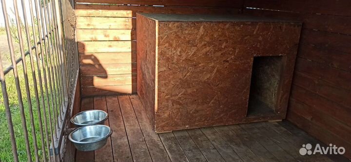 Вольер для собаки