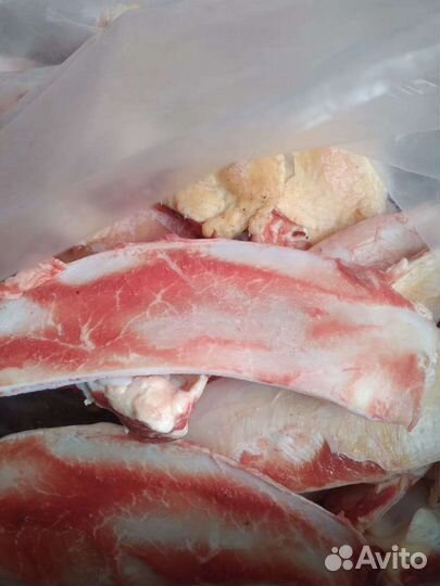 Хрящи говяжьи на корм животным