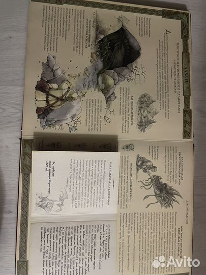 Драконоведение, всё о драконах