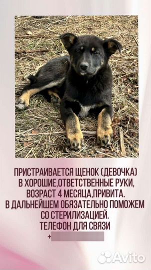 Замечательная девочка ищет семью