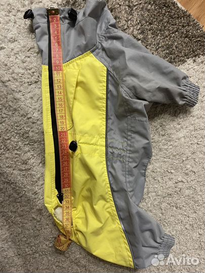 Дождевик для маленькой собаки