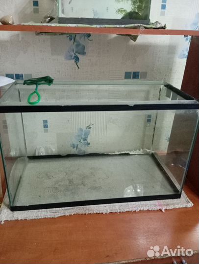 Аквариум