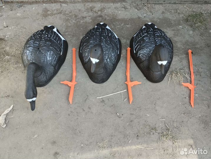 Чучела гусей белолобый