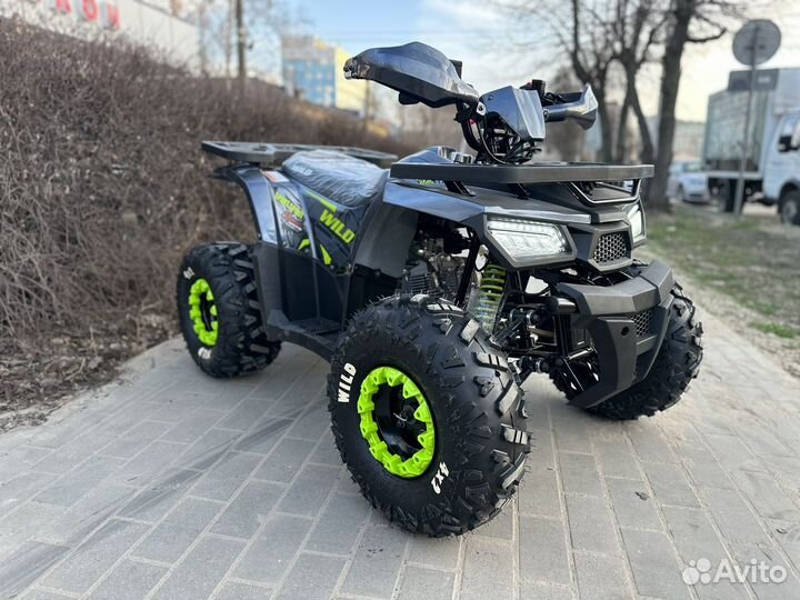 Новый квадроцикл motoland wild 125 2024