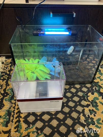 Аквариум для рыбок