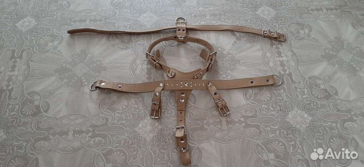 Шлейка для собаки 2в1