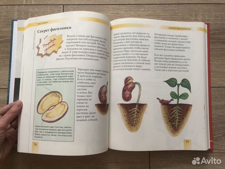 Моя первая энциклопедия