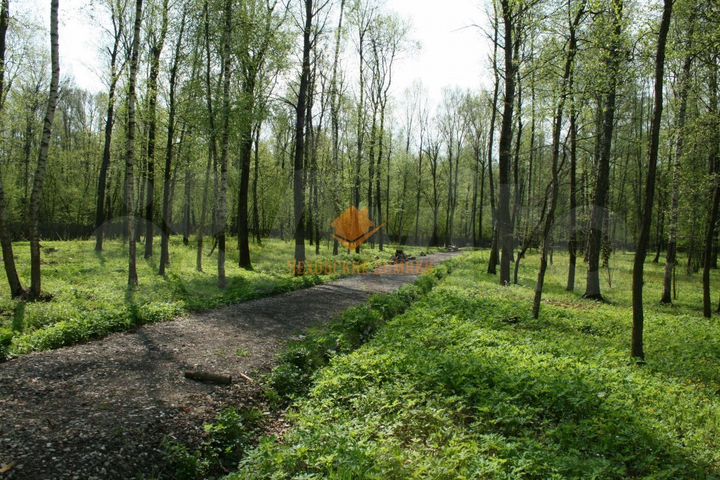 Участок 12 сот. (ИЖС)