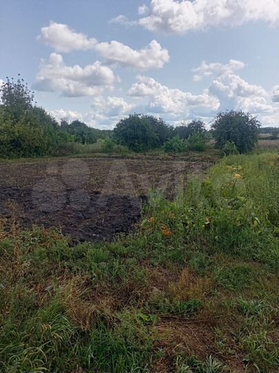 Участок 43 сот. (ИЖС)