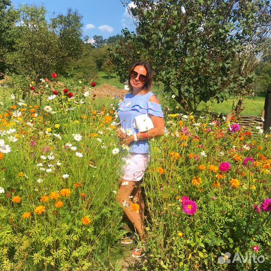 Администратор