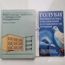 Шишка - Признаки заболеваний голубей - Международный Портал Голубеводов