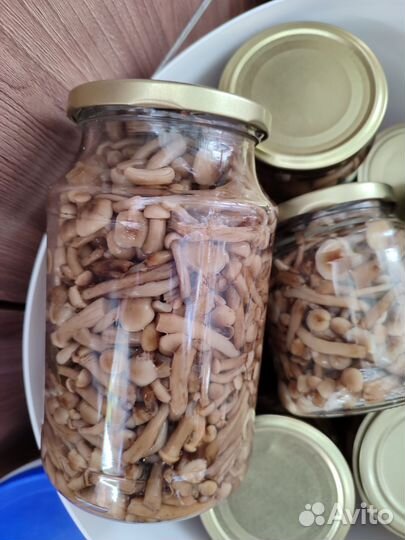 Грибы опята маринованные