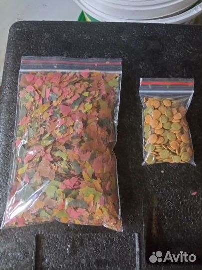 Мотыль,дафния,артемия/цисты,циклоп,сухой корм