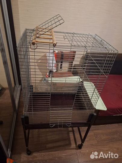 Клетка для крупных попугаев