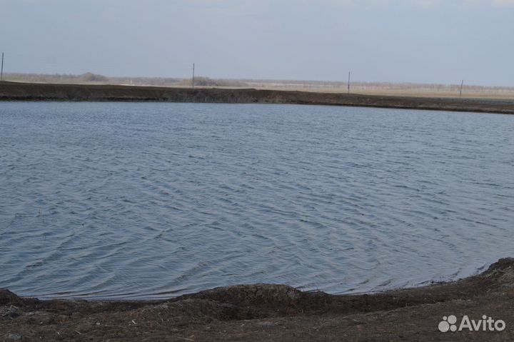 Пруд-карпятник