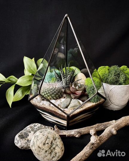 Флорариум /Подарок / Цветы / Букет