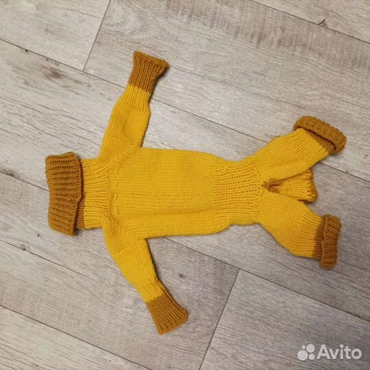 Одежда для собак