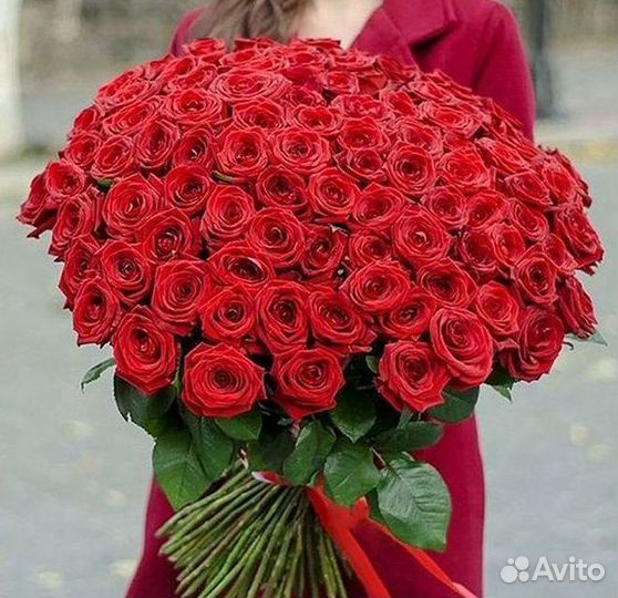 Розы гиганты 140 150 160 170 180 200