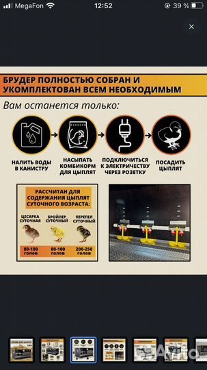 Брудер для цыплят до 250 голов