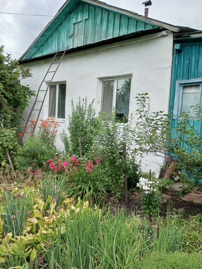 3-к. квартира, 54,6 м², 1/1 эт.