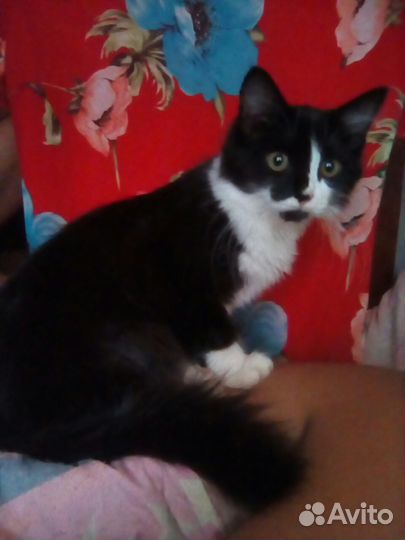 Мармеладка