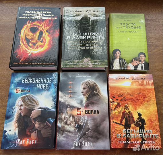 Книги Голодные игры, 5-я волна, Бегущий