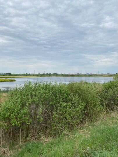 Дом 36 м² на участке 18 сот.