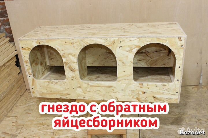 Гнездо для кур несушек с яйцесборником