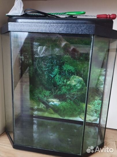Аквариум с рыбками 50л, еда, компрессор